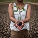 donate to save planet